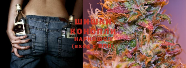 дживик Богданович