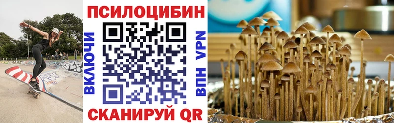 Купить закладки  Гороховец  Псилоцибиновые грибы мицелий 
