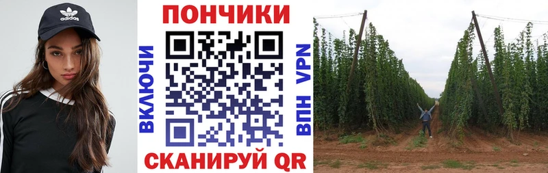 Каннабис ГИДРОПОН Гороховец